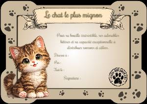 Le plus mignon des chats