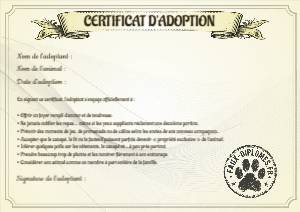 Certificat d'adoption